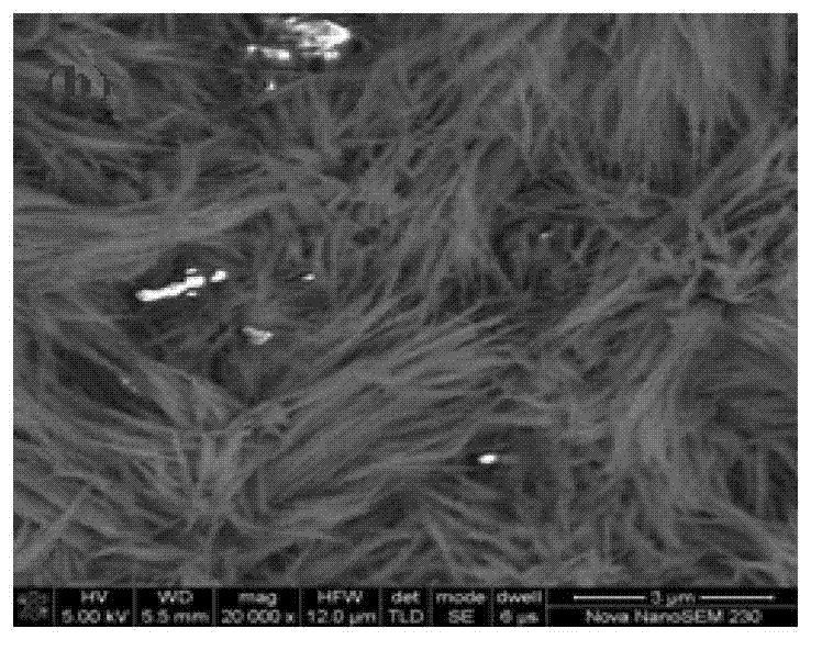 Preparation method of blue light and near ultraviolet excitation type one-dimensional red nano fluorescent powder