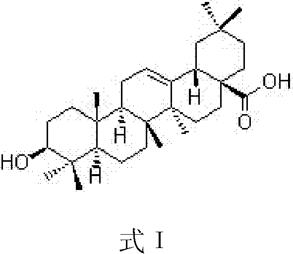 Liver-protecting functional food and preparation method thereof