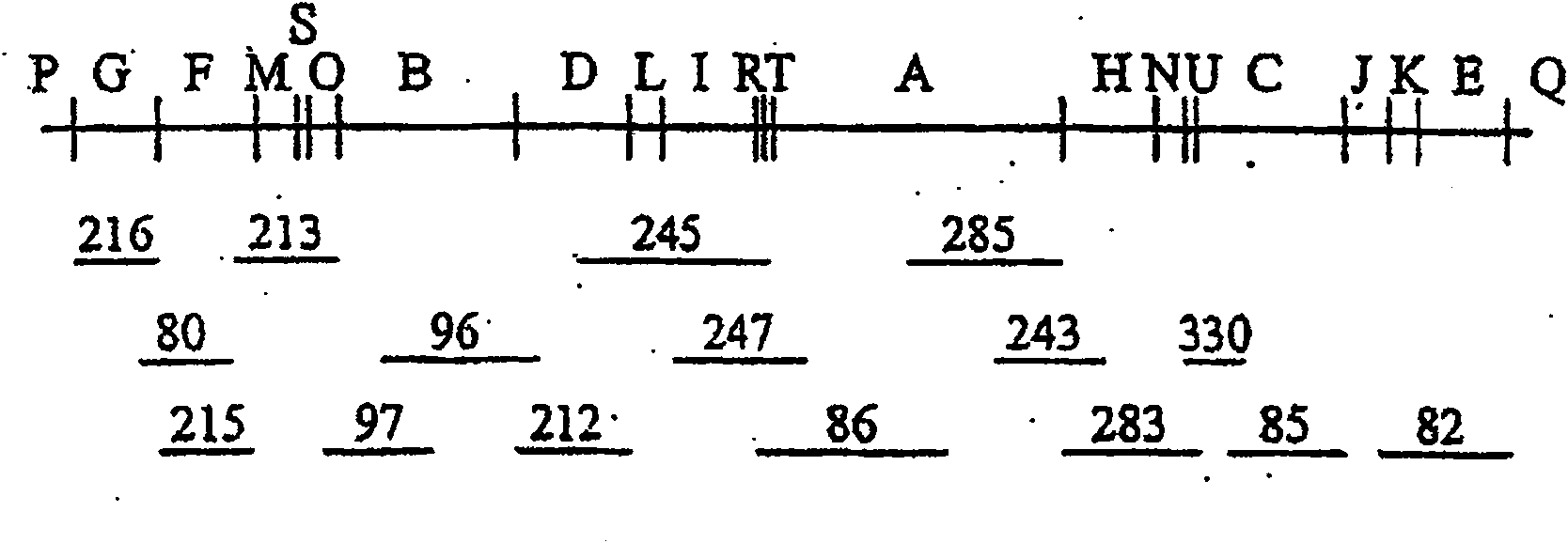 Recombinant proteins of parapoxvirus ovis and pharmaceutical compositions prepared therefrom