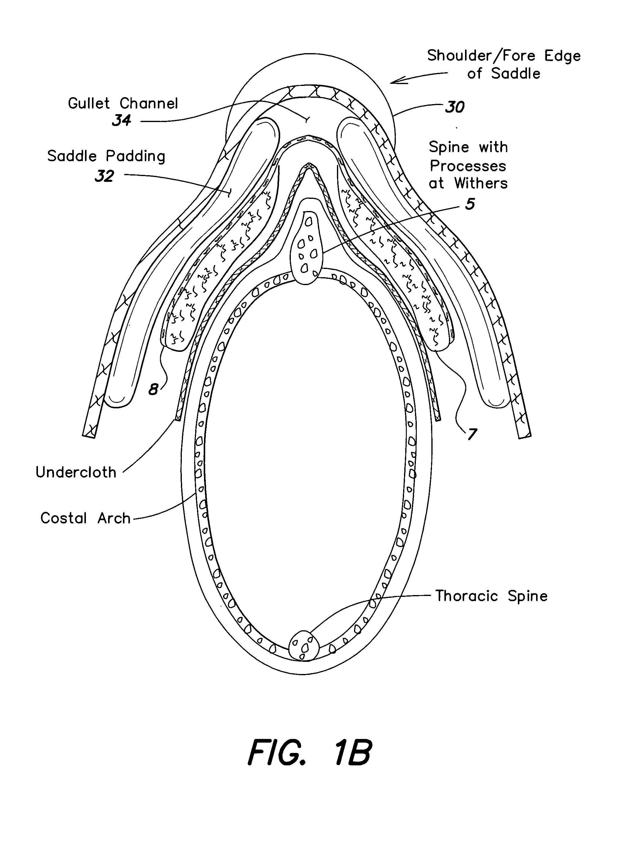 Saddle backing