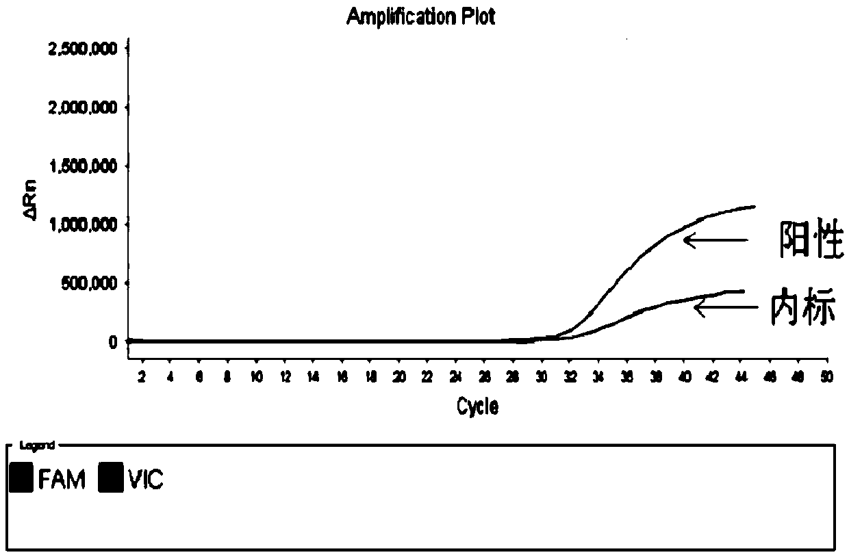 Fluorescent quantitative RT-PCR detection reagent, kit and detection method for West Nile virus