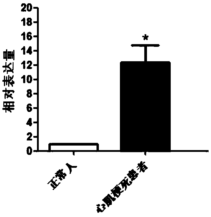 New diagnostic function of MAEA gene in blood