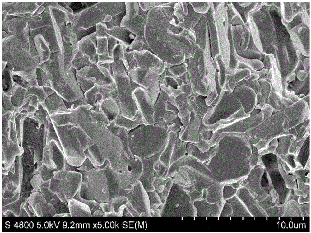 Preparation method of bicontinuous-phase alumina/epoxy resin composite material