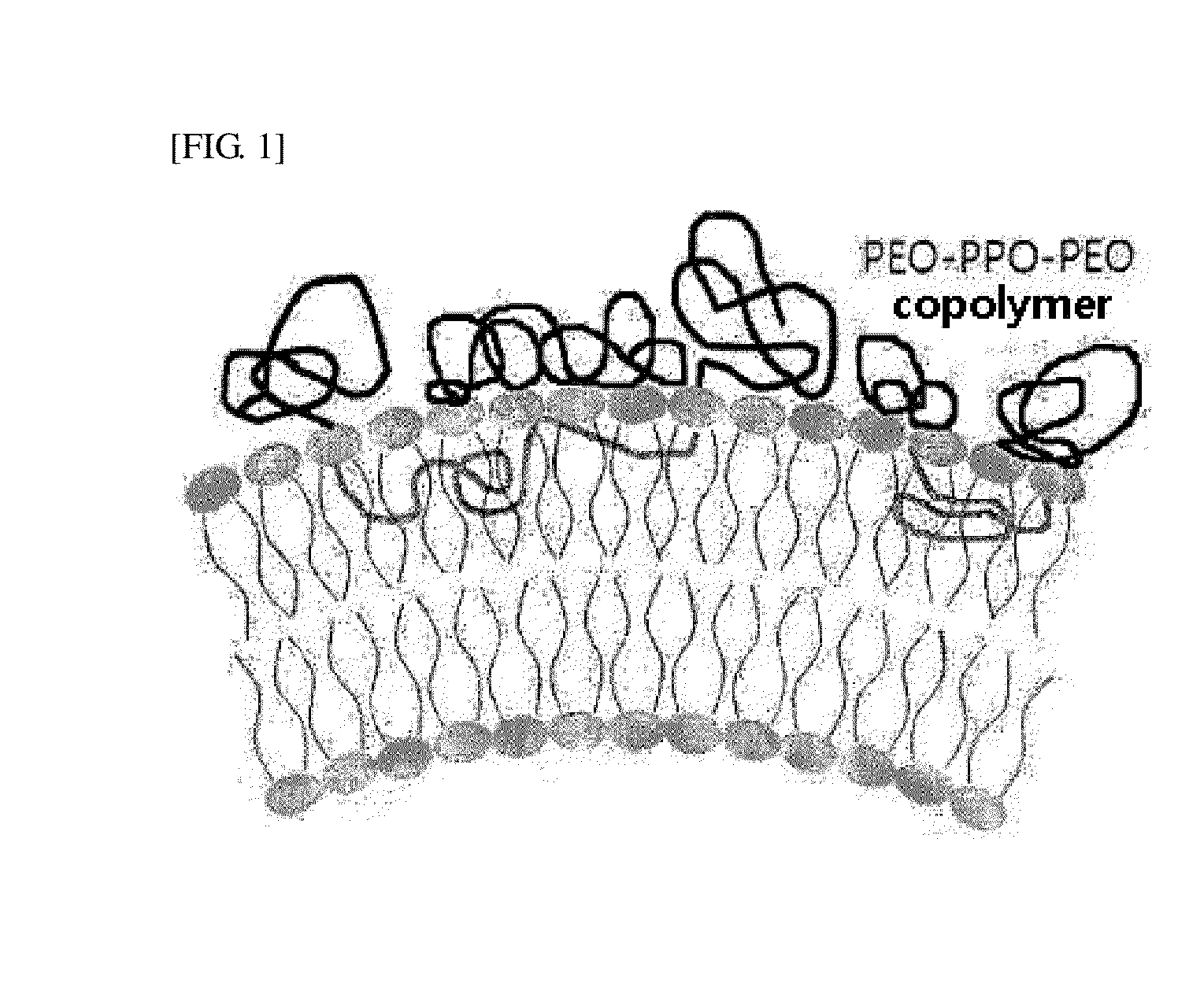 Biocompatible Particles and Method for Preparing Same