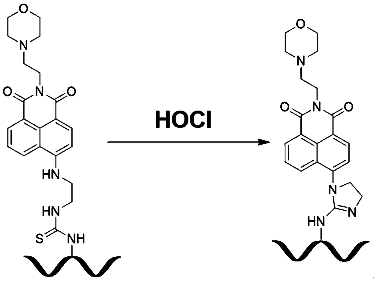 A polymer fluorescence sensor capable of ratiometric detection of hypochlorous acid and its application