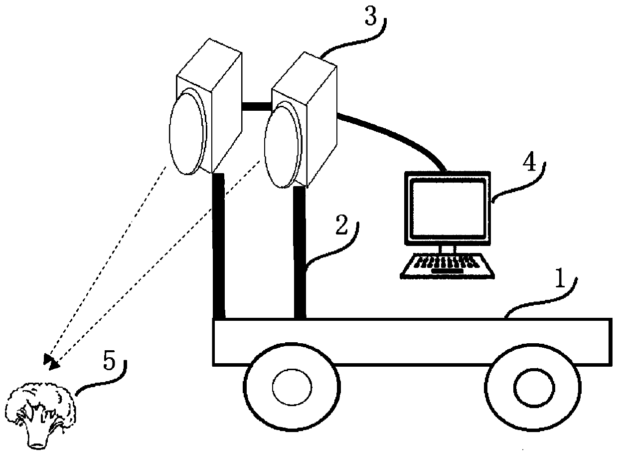 Field broccoli growth vigor monitoring system and method based on deep learning