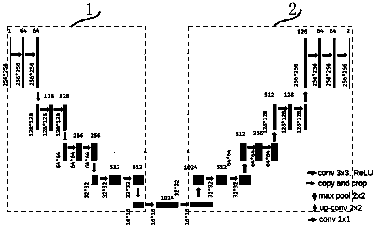 Field broccoli growth vigor monitoring system and method based on deep learning