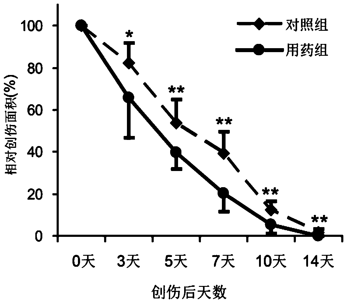 A kind of pharmaceutical composition and application thereof for promoting skin healing