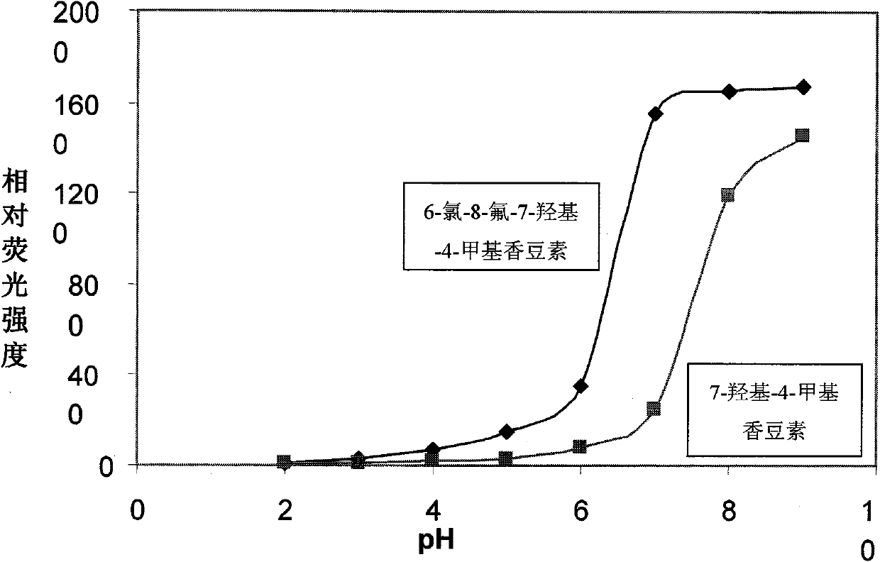 Coumarin compound for enzymatic activity analysis and enzyme inhibitor sifting motion, and synthesizing process