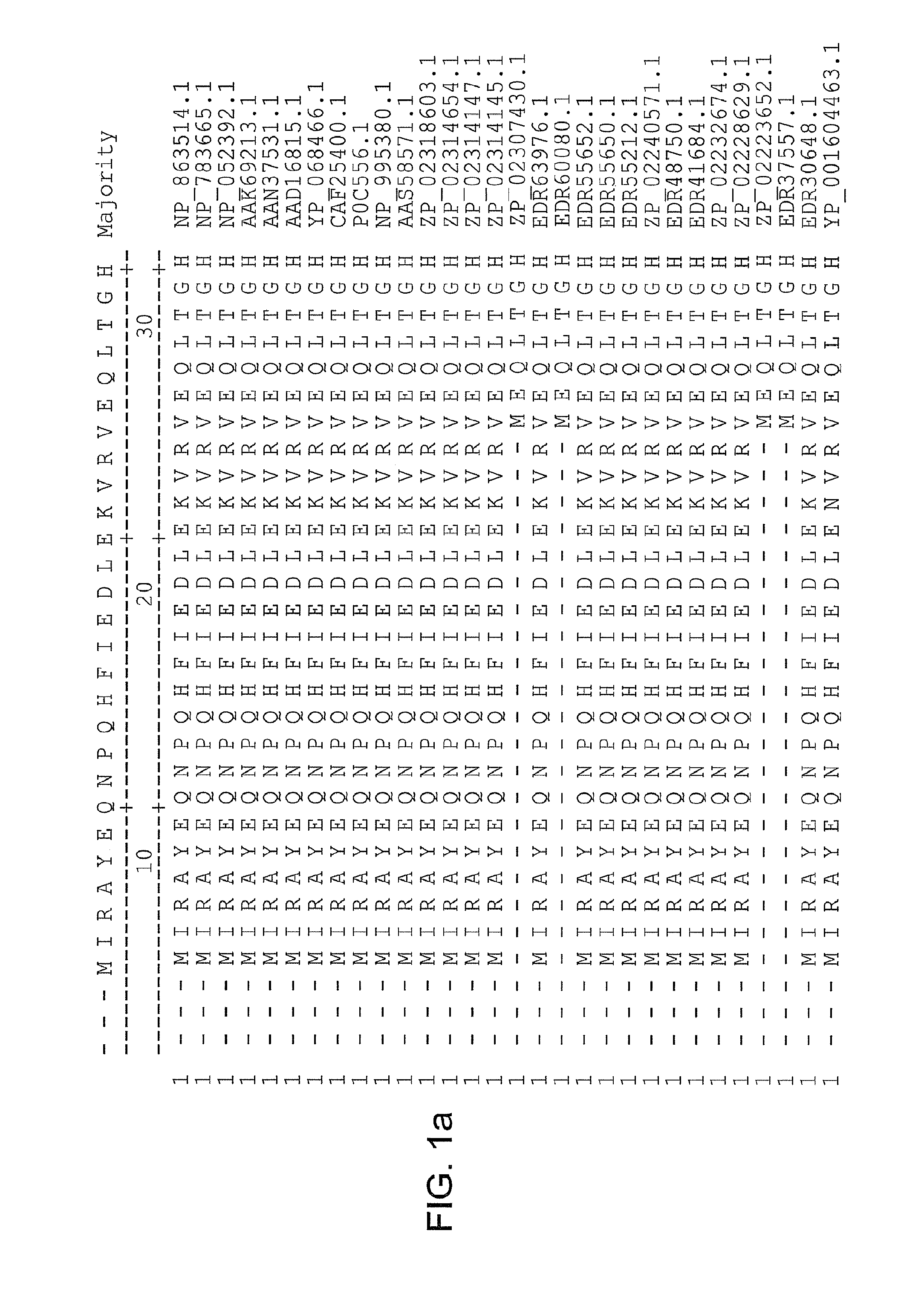 Yersinia pestis antigens, vaccine compositions, and related methods