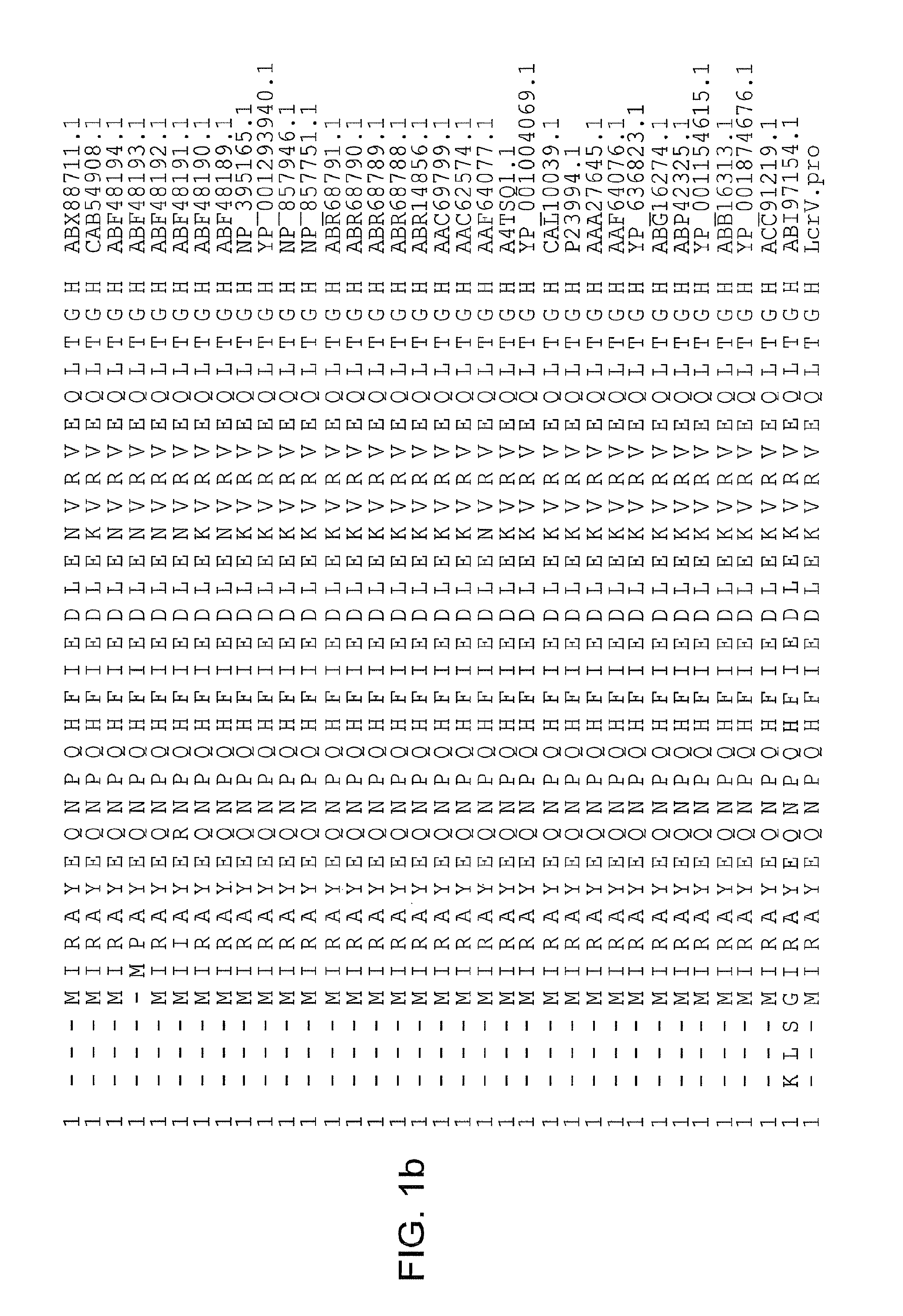 Yersinia pestis antigens, vaccine compositions, and related methods