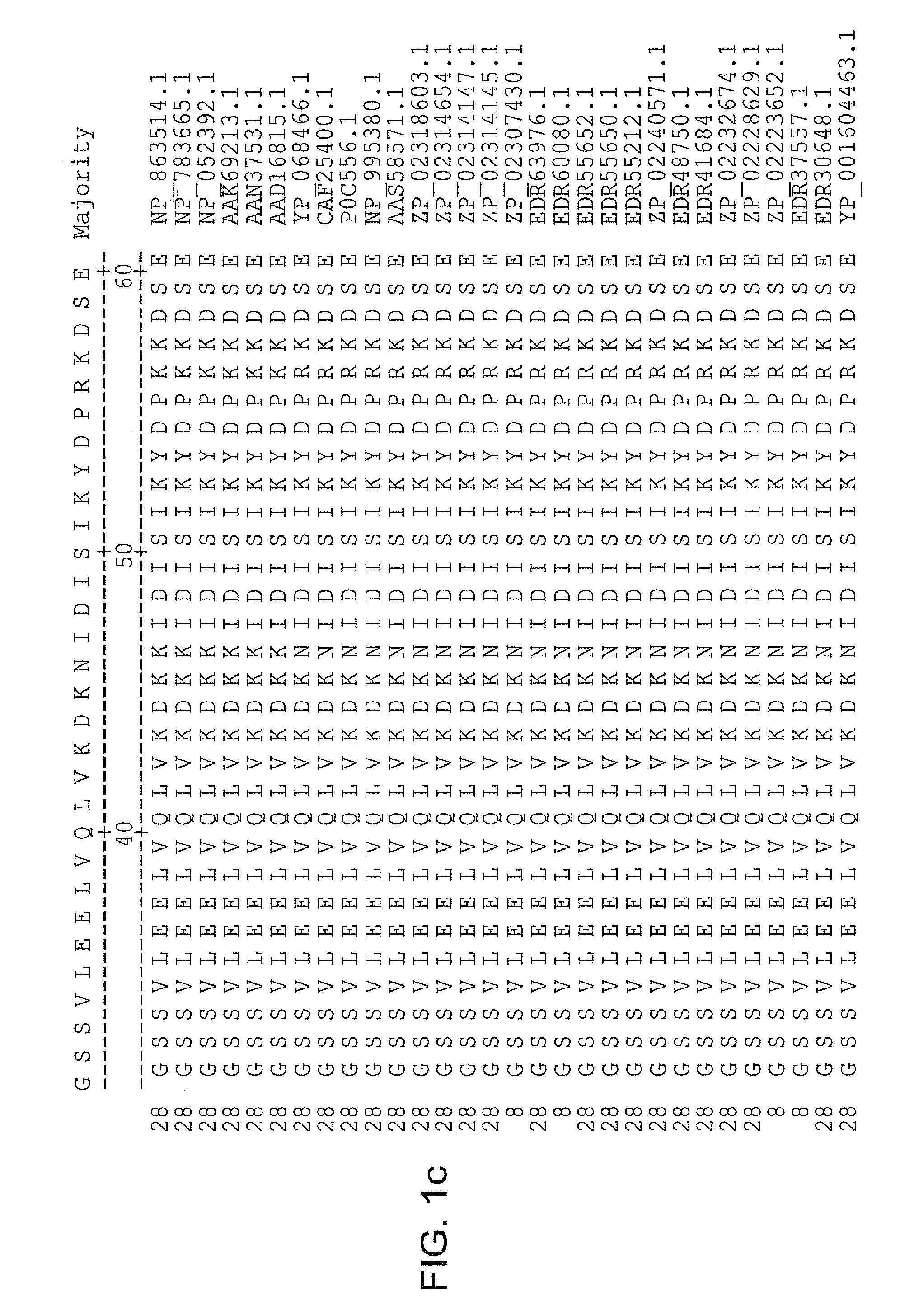 Yersinia pestis antigens, vaccine compositions, and related methods