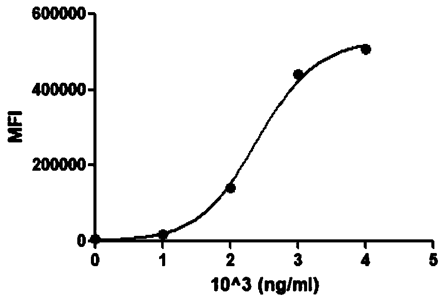 Fusion protein for EGFR+ tumors and application thereof