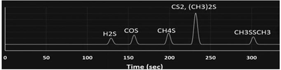 Online circulating hydrogen analysis detector