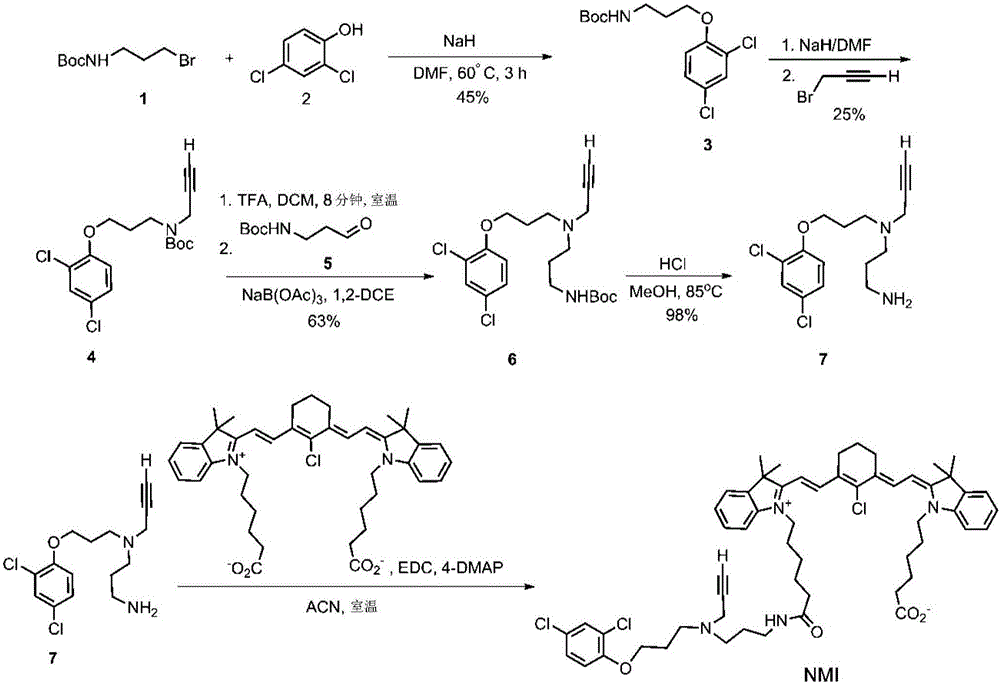 MAO inhibitors and their conjugates as therapeutics for the treatment of brain cancer