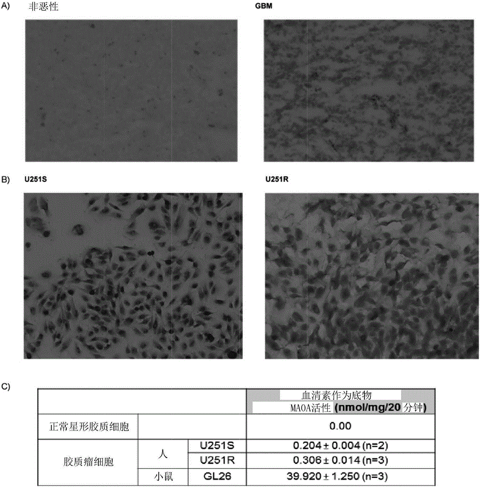 MAO inhibitors and their conjugates as therapeutics for the treatment of brain cancer