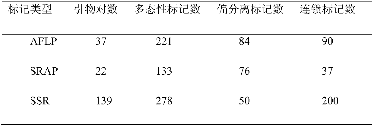 Group of laminaria japonica base morphology QTLs and breeding application thereof