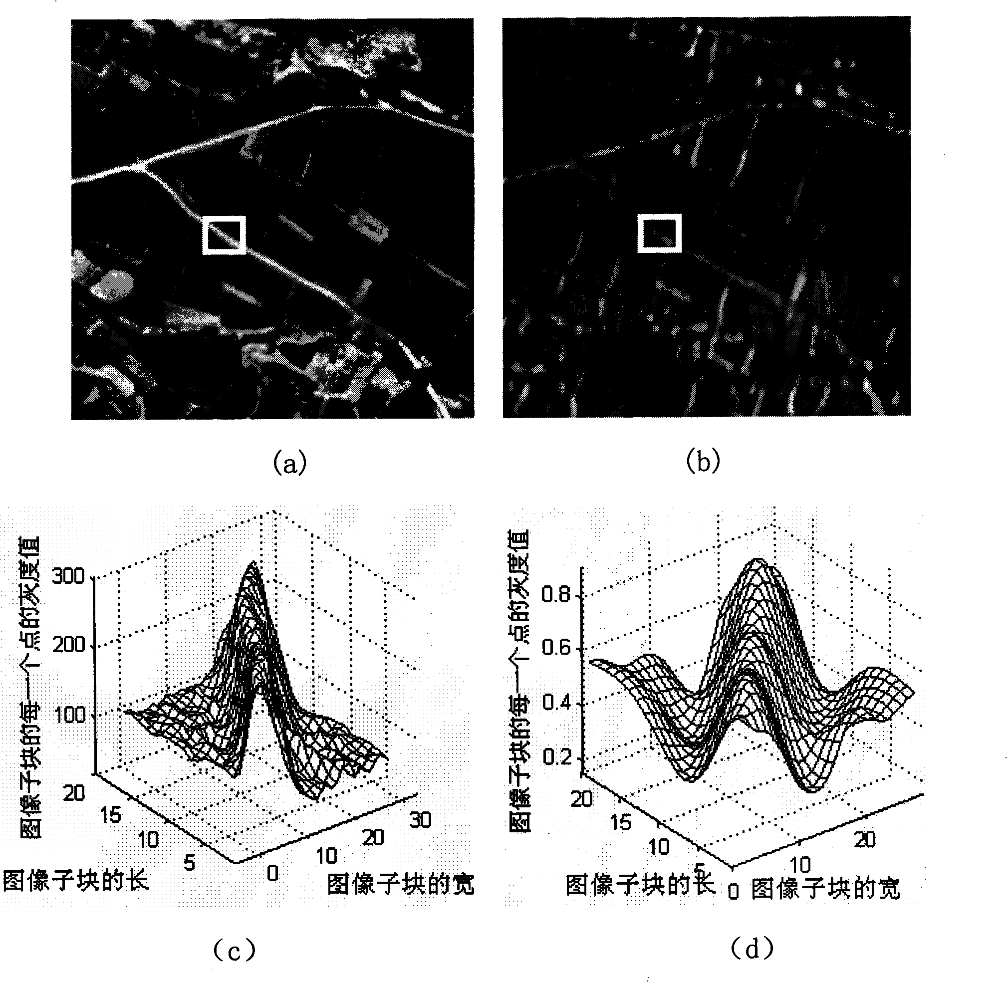 Method for extracting roads from remote sensing image based on non-sub-sampled contourlet transform