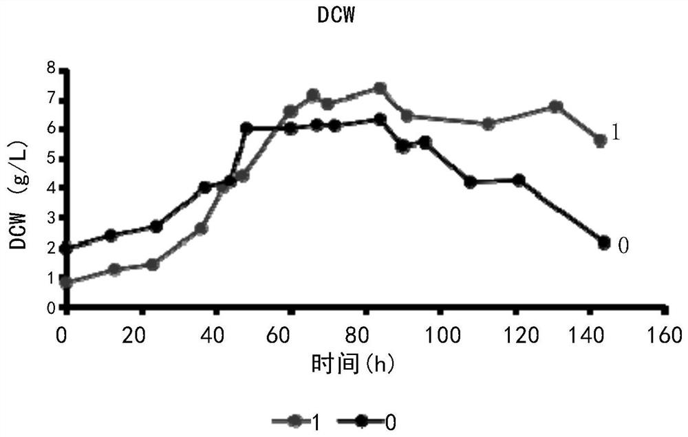 Optimized fermentation method of saccharopolyspora erythraea with sucC gene knocked out