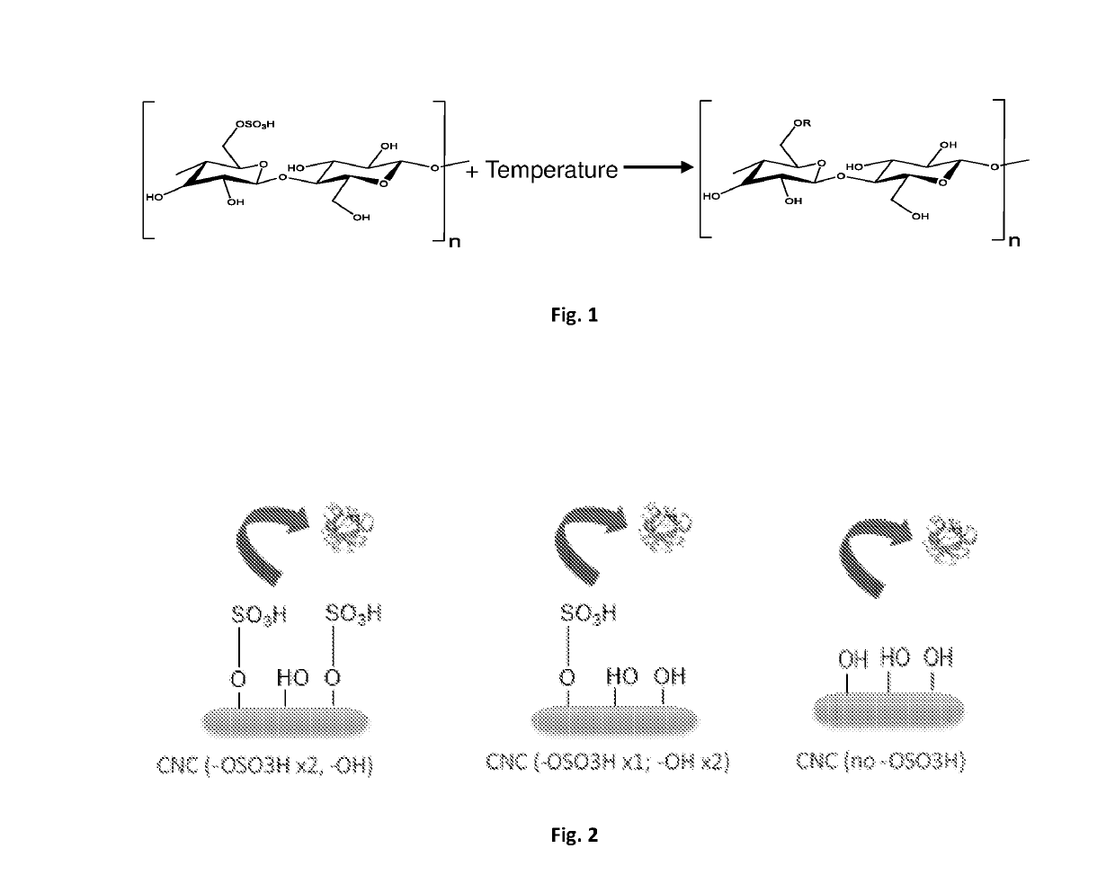 Blood derivatives composite material, methods of production and uses thereof