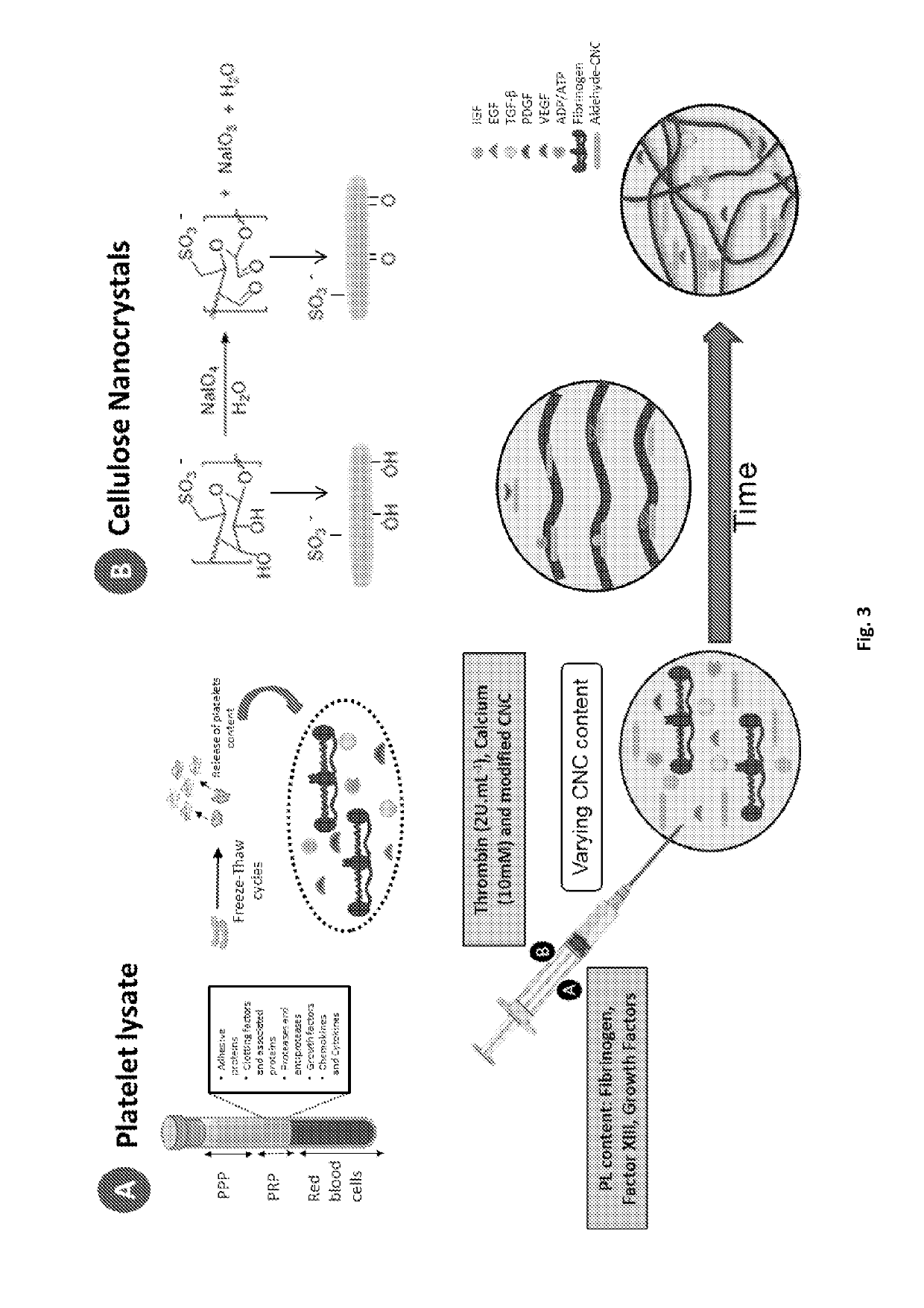 Blood derivatives composite material, methods of production and uses thereof