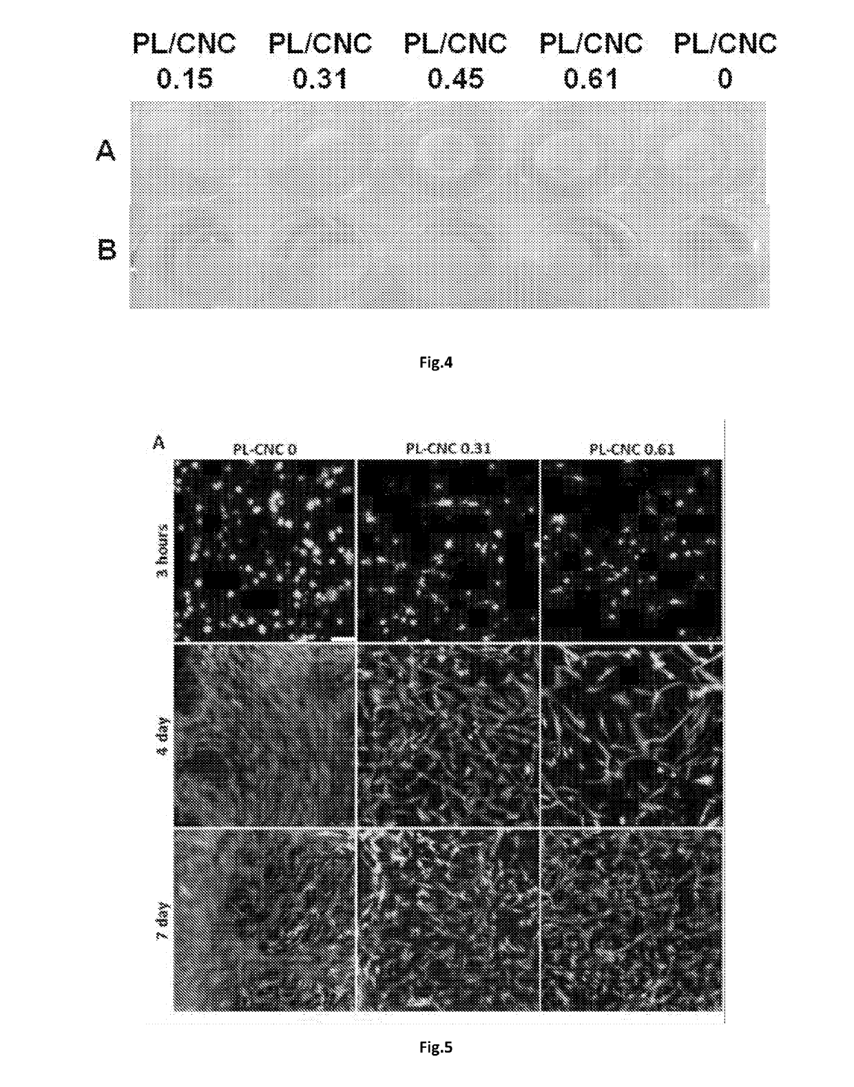 Blood derivatives composite material, methods of production and uses thereof