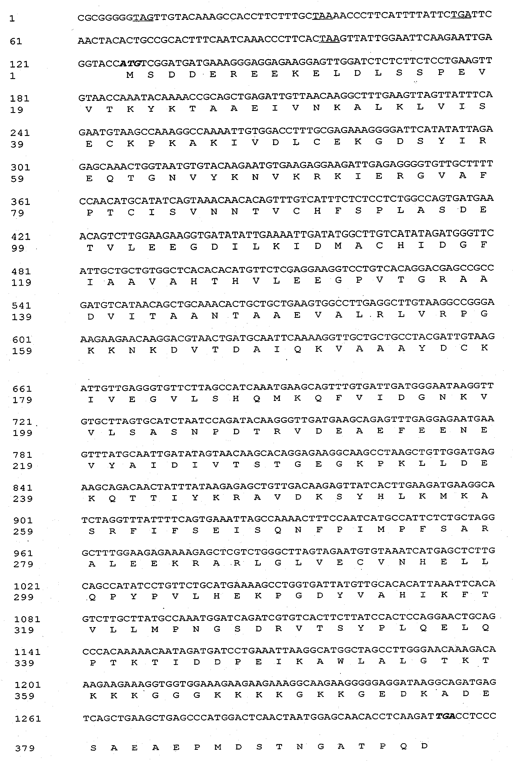 Ammopiptanthus mongolicus cold-resistant gene AmEBP1