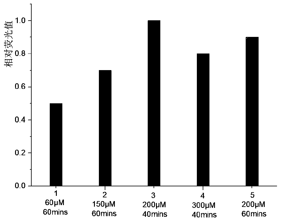 Method for identifying and detecting 5-hydroxymethyl cytosine and 5-formyl cytosine in DNA