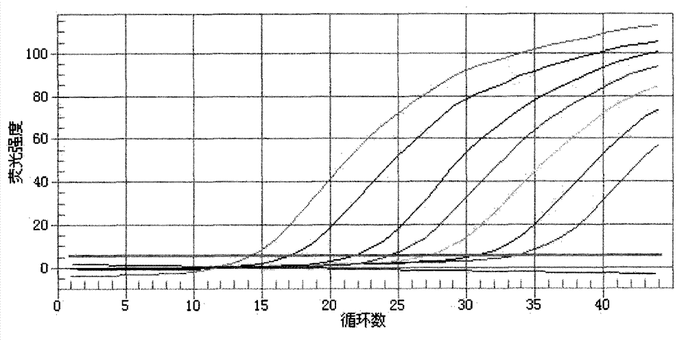 Kit for detecting bone metastasis of lung cancer