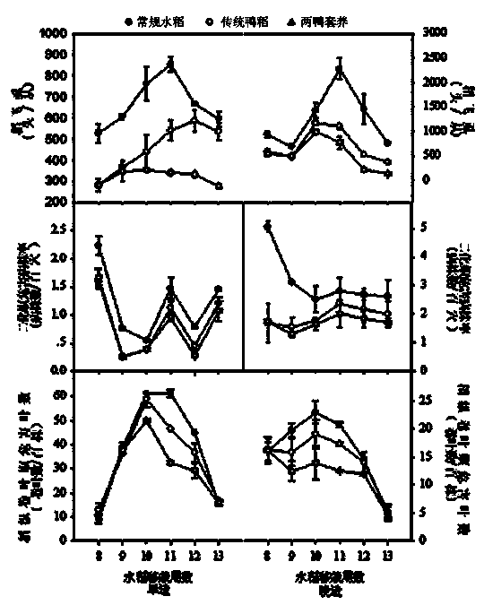 Method for continuously controlling insect pests and weeds of field quarter paddy through intercropping two batches of ducks