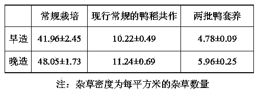 Method for continuously controlling insect pests and weeds of field quarter paddy through intercropping two batches of ducks