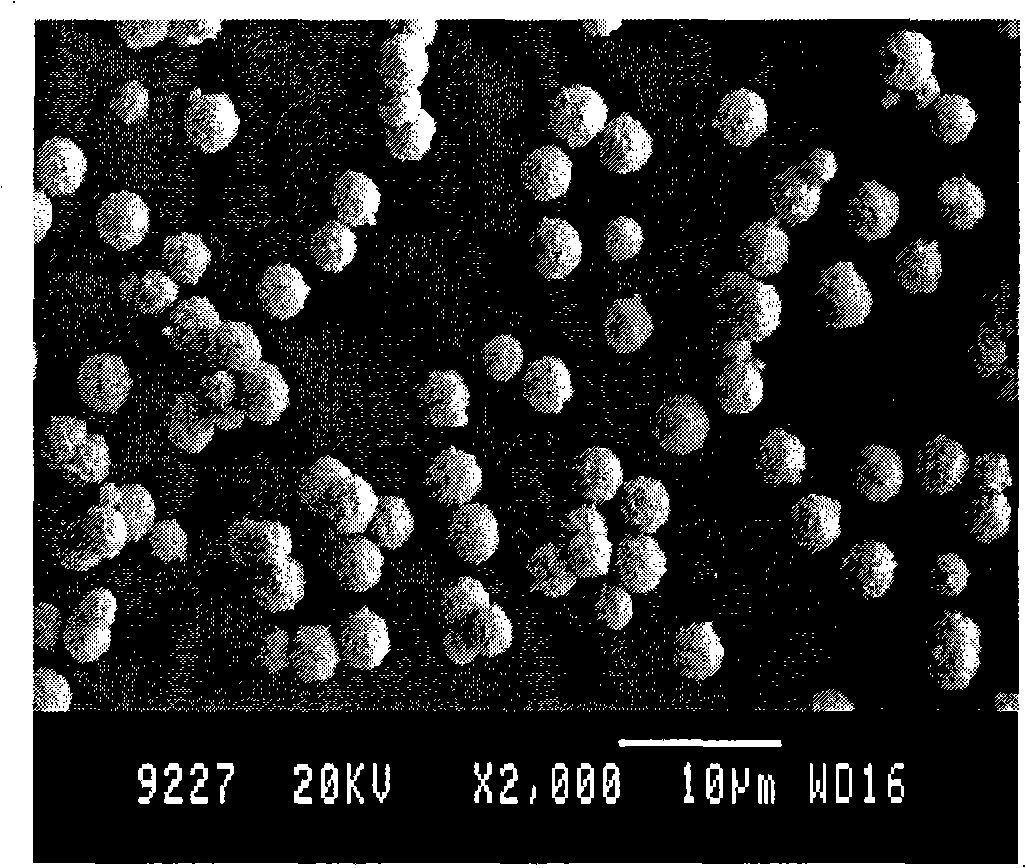 Wet chemical preparation method containing spherical silver powder