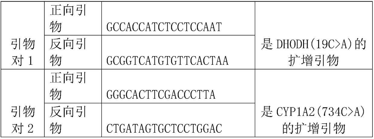 Kit and method for predicting drug therapeutic effect of leflunomide at SNP locus