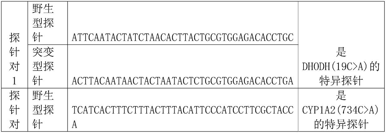 Kit and method for predicting drug therapeutic effect of leflunomide at SNP locus