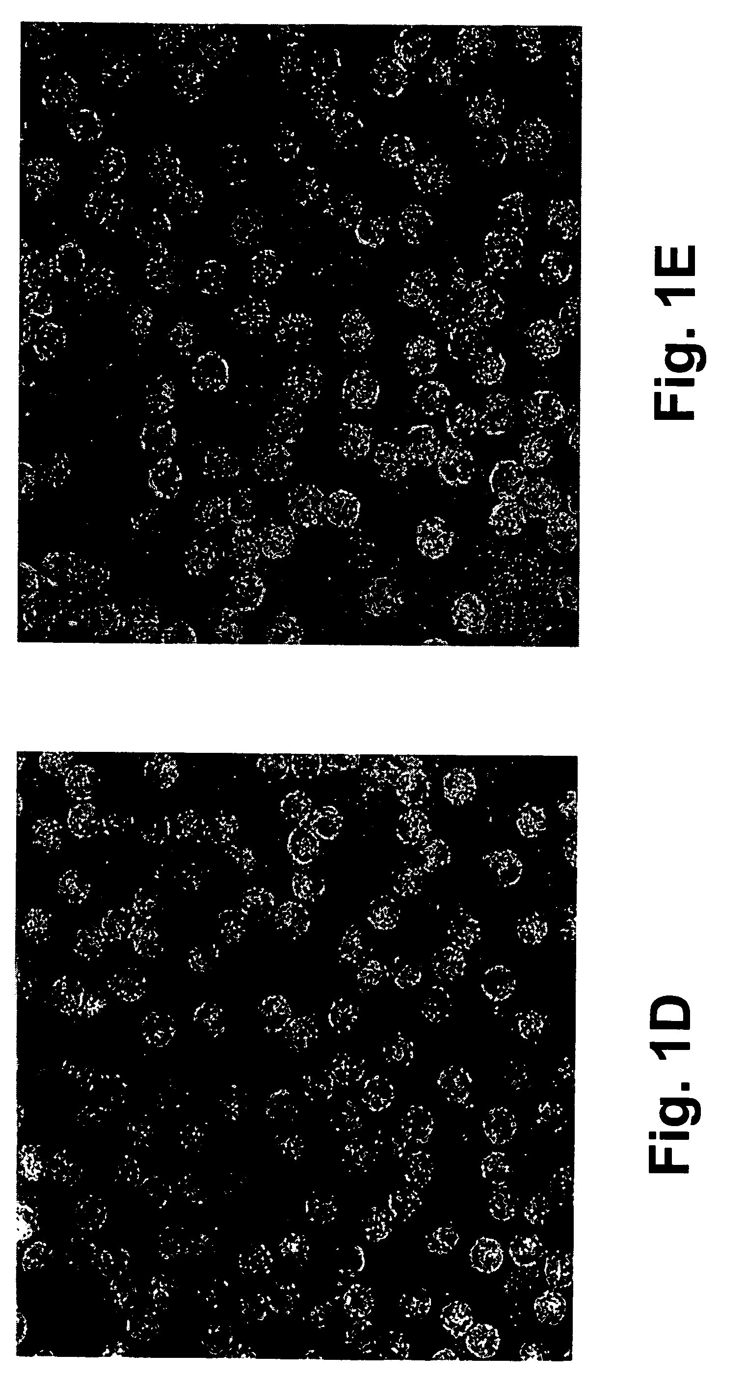 Molecular antigen arrays