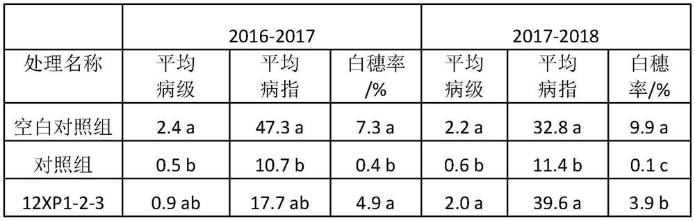 Application of chaetomium globosum in preventing and treating wheat take-all