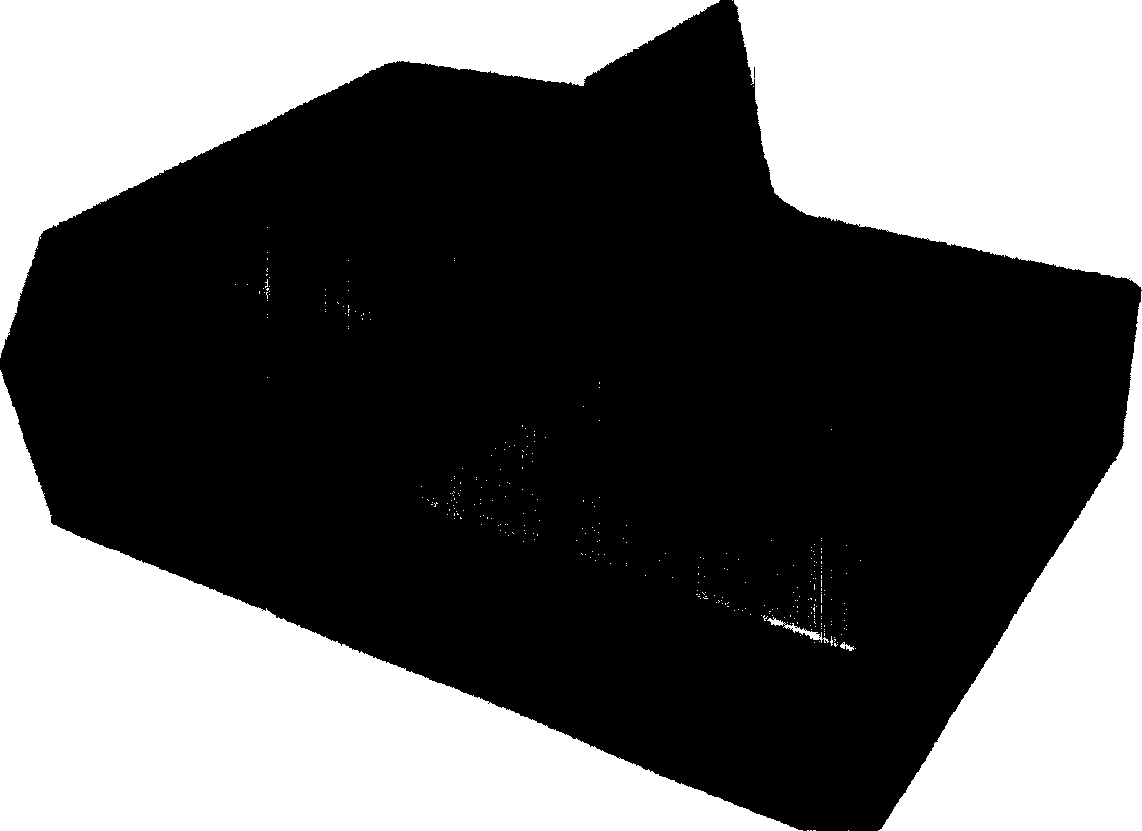 Chemical illumination immunity analysis instrument