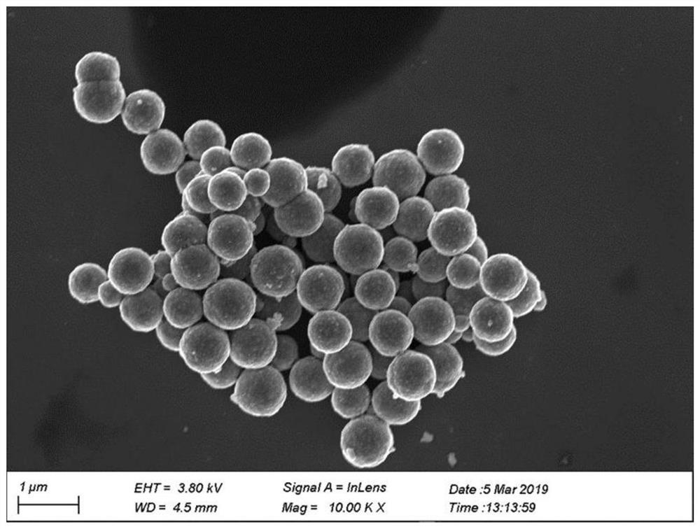 Preparation method and application of Pd-Fe/Fe3O4 material