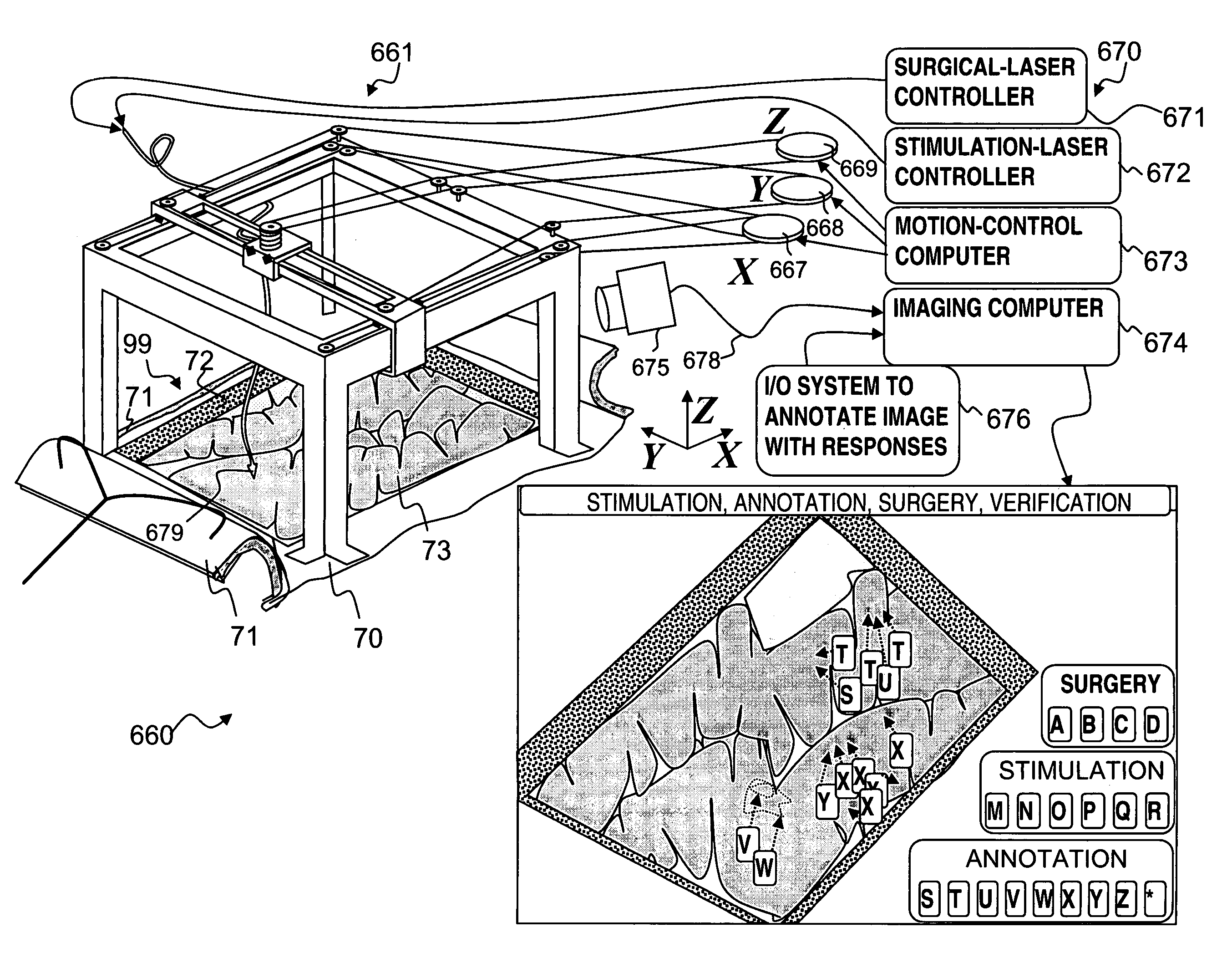 Apparatus for optical stimulation of nerves and other animal tissue