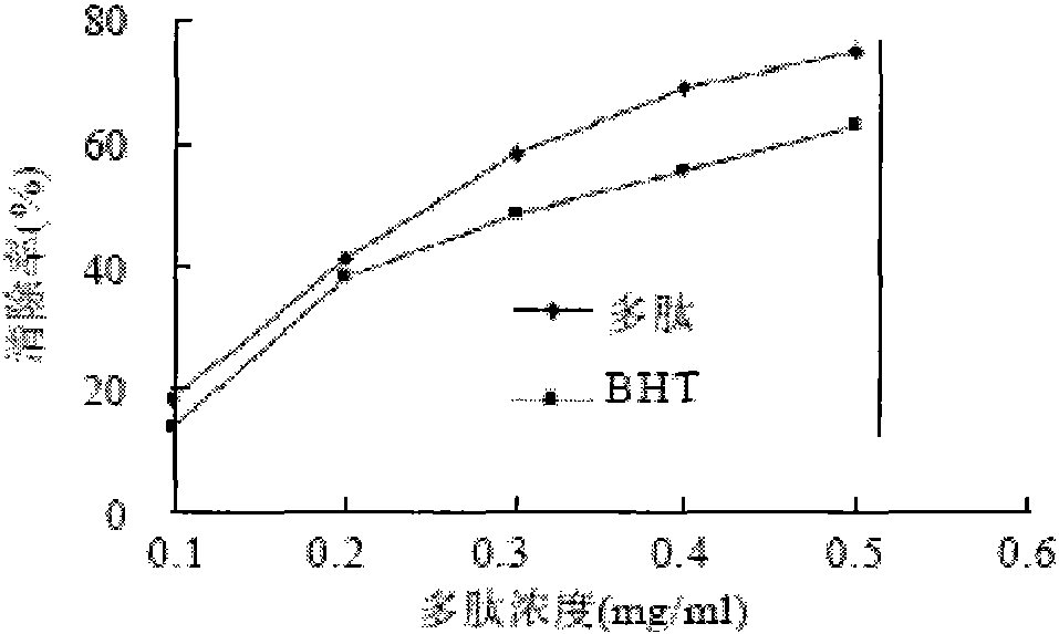 A method for preparing queen bee embryo peptide by enzymatic hydrolysis