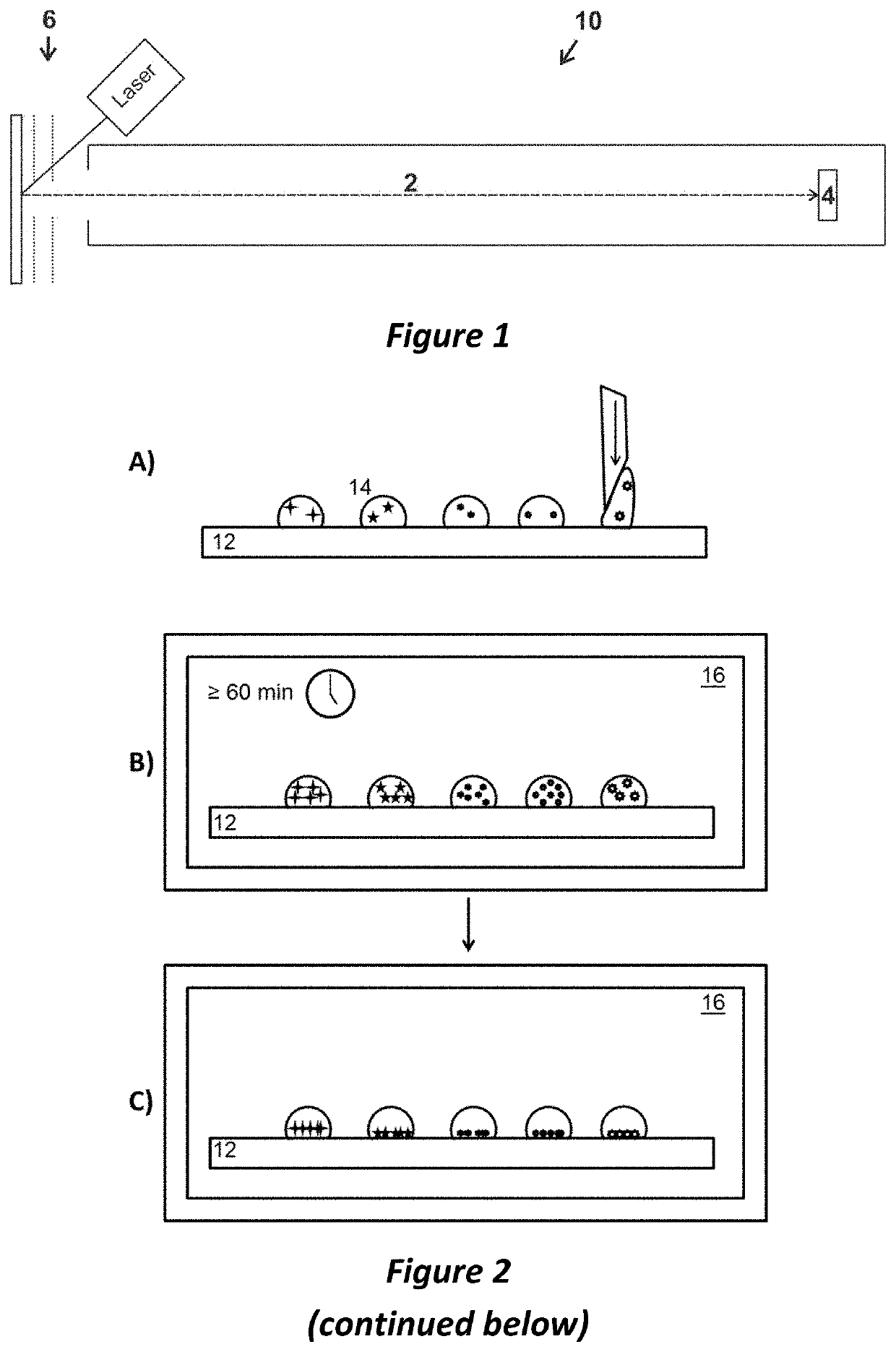 Preparing live microbial samples and microorganisms for subsequent mass spectrometric measurement and evaluation