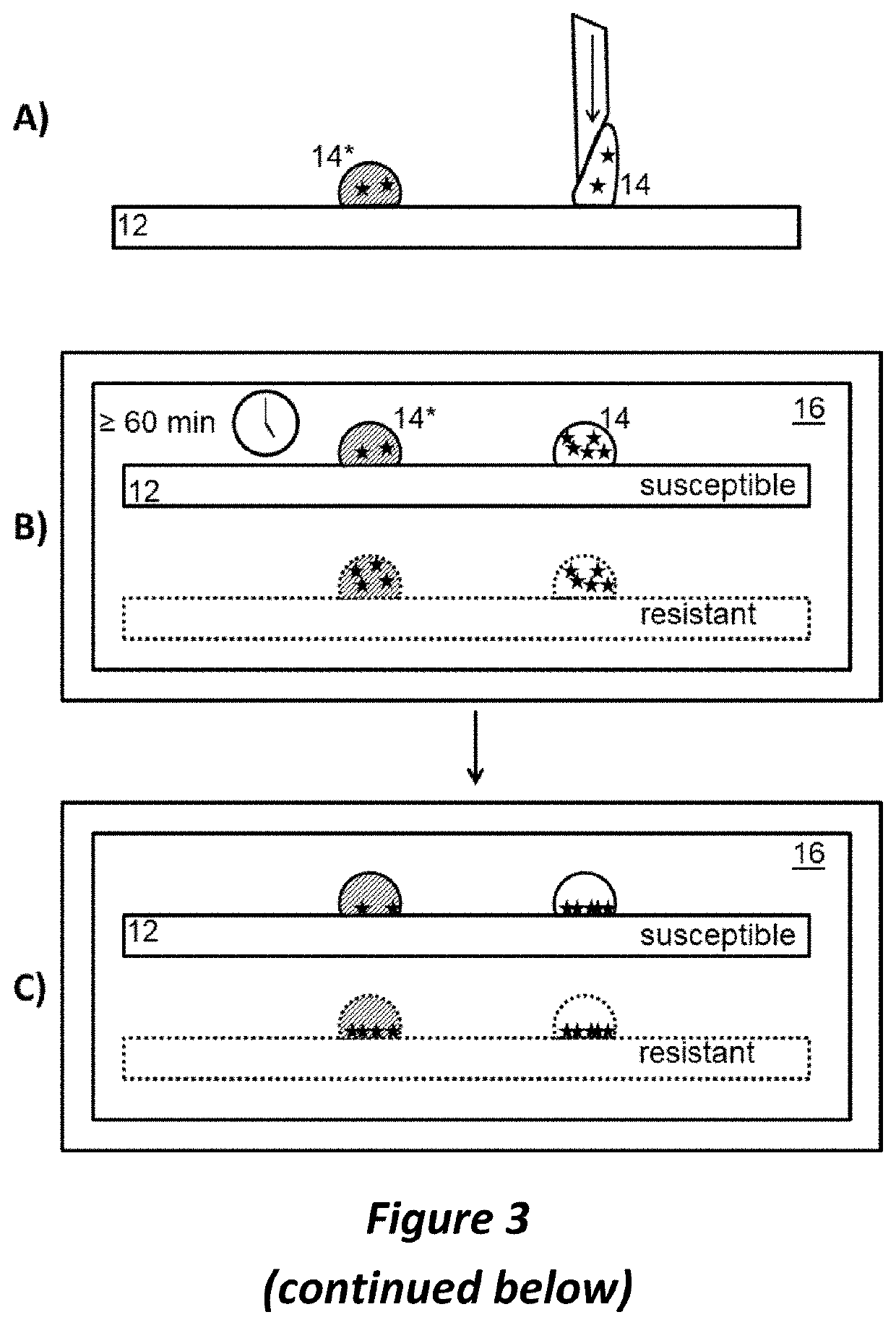 Preparing live microbial samples and microorganisms for subsequent mass spectrometric measurement and evaluation