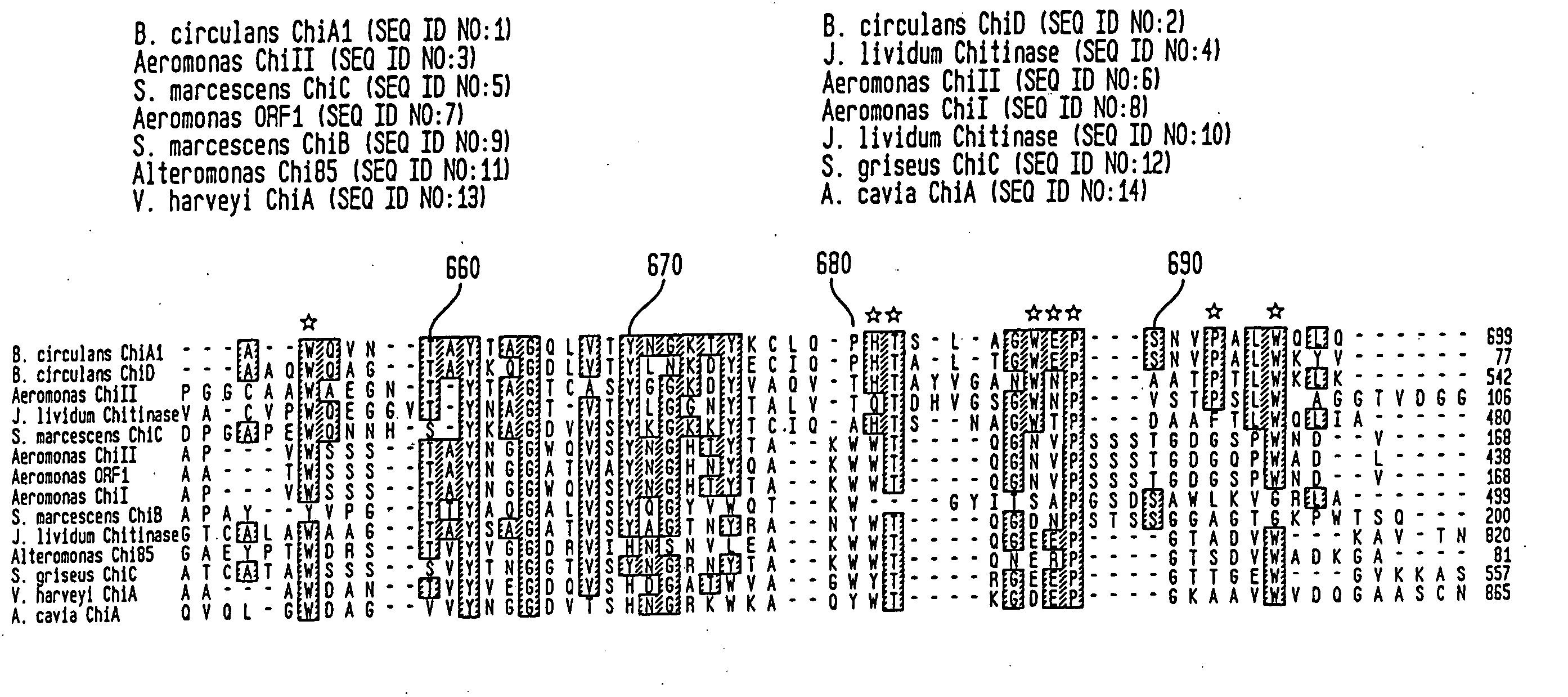 Modified chitin binding domain and uses thereof