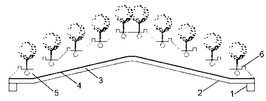 Coastal saline-alkali soil terrace type afforesting method for improvement of dredger fill