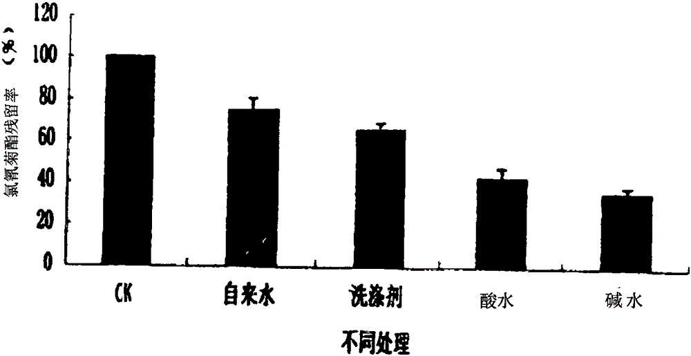 Fruit and vegetable pesticide residue degradation equipment and method based on water magnetization and electrolysis technology