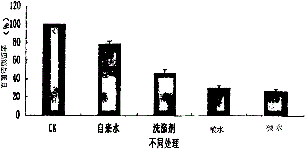 Fruit and vegetable pesticide residue degradation equipment and method based on water magnetization and electrolysis technology