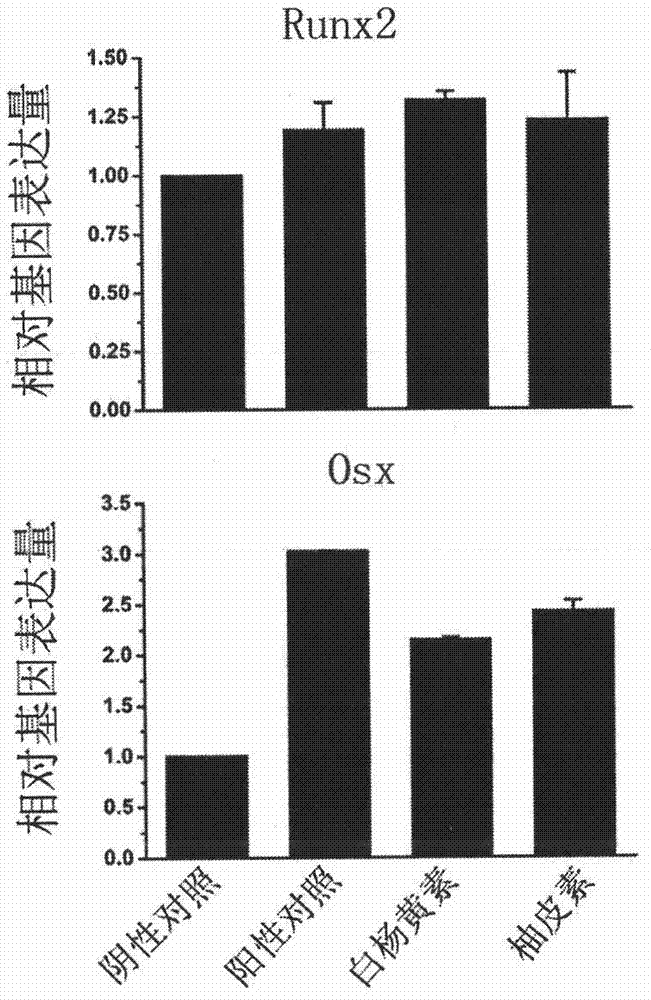 Application of flavonoid micromolecule in prevention and treatment of diseases related to bone resorption