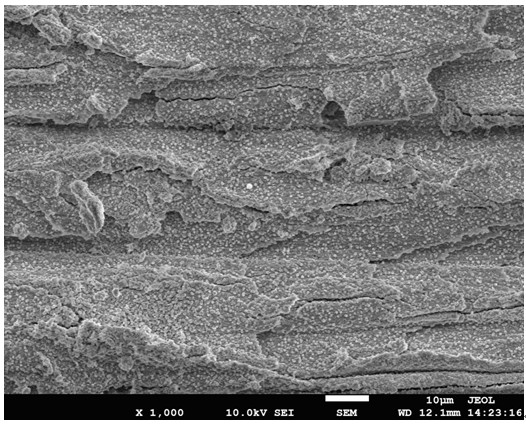 Preparation method of composite photocatalyst film for degrading phenol in water