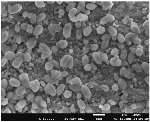 Preparation method of composite photocatalyst film for degrading phenol in water