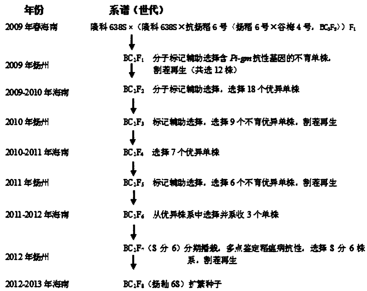 Breeding method for rice-blast-resistant good-quality high-yield two-line hybrid hsien rice combination